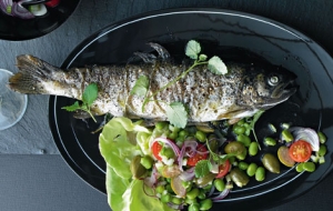 Trout from the plate with bean salad Sheet Cake recipe