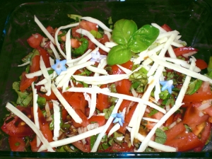 Tomato Mountain Cheese Salad