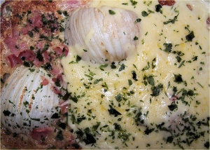 Fennel gratin with ham recipe