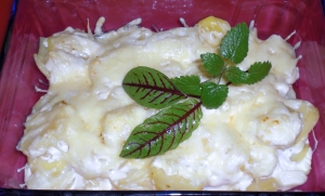 Potato gratin with white wine Potato gratin recipe