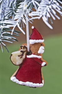 Gingerbread Men Christmas Cookie recipe
