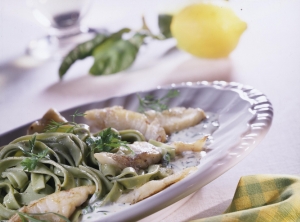Pikeperch fillet with green noodles and cheese and herb sauce