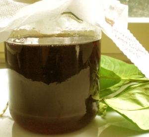 Currant-syrup-leaves-recipe