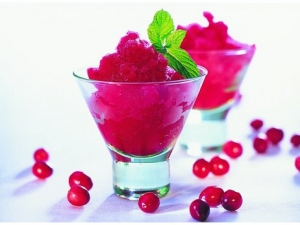 Sorbet With Dried Cranberries