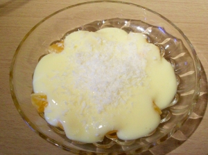 Vanilla Pudding With Mandarin Oranges And Coconut